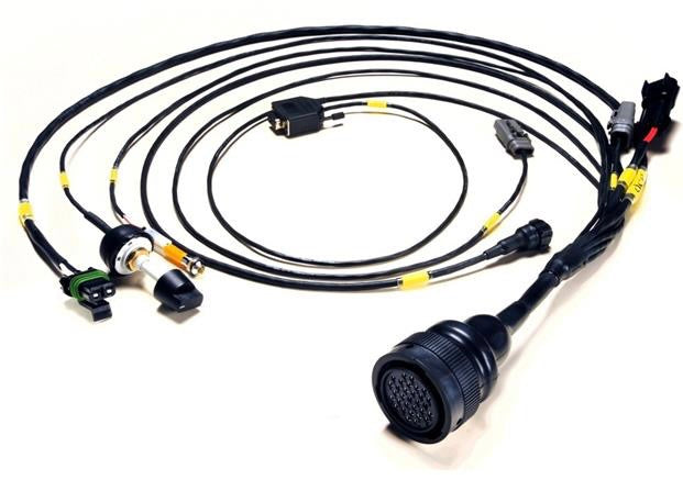 DC Electronics EPAS Midi Wiring Loom (US)