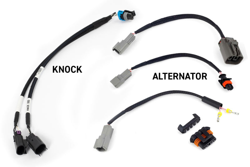 Haltech NEXUS Rebel LS Kit (Suits Gen III)