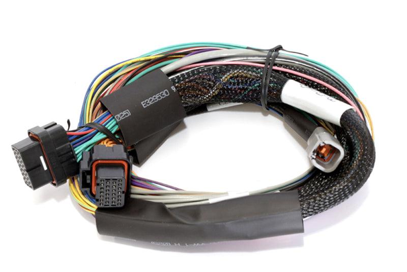 Haltech Elite 2500 8ft Basic Universal Wire-In Harness (Excl Relays or Fuses) - Attacking the Clock Racing