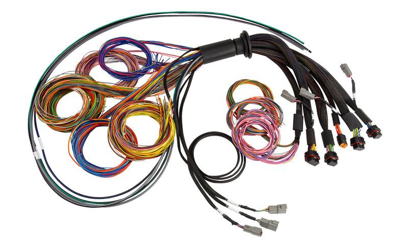 Haltech NEXUS R5 Basic Universal Wire-In Harness - Attacking the Clock Racing