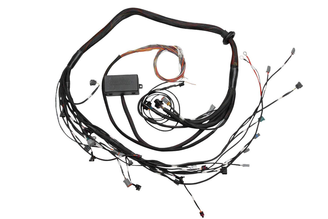 Haltech Elite 2000/2500 Toyota 2JZ Terminated Engine Harness - Attacking the Clock Racing