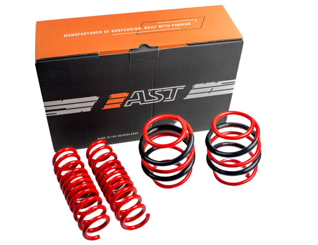 AST 2020+ Tesla Model Y Long Range AWD Lowering Springs