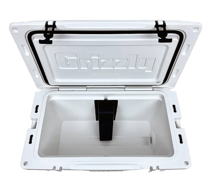 Paragon Viking Extreme Max Team Cooler (110V)