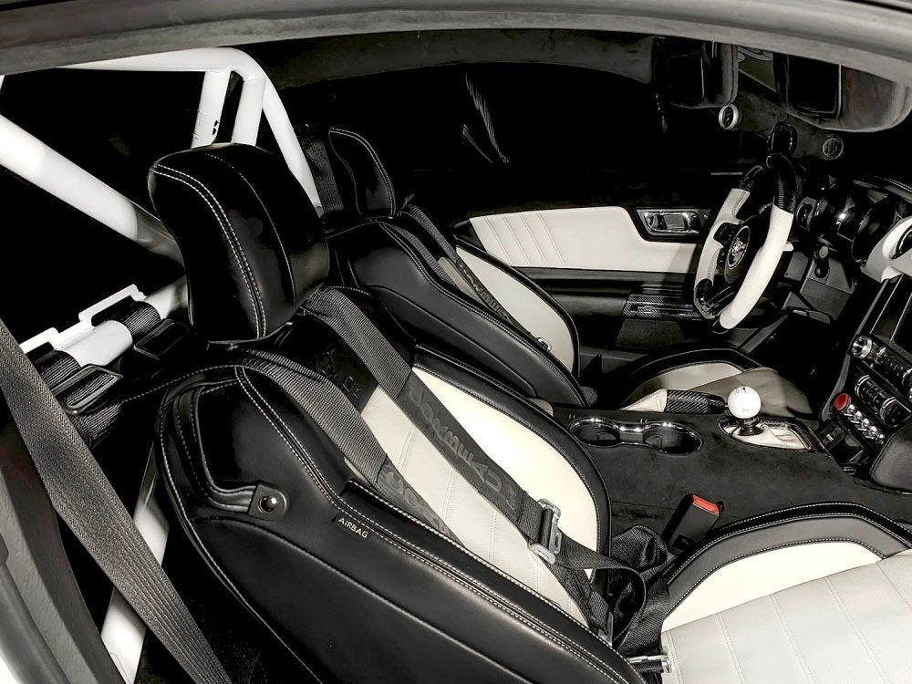 CMS Performance Roll Bar For Mustang S550 & Shelby GT350/GT350R/GT500