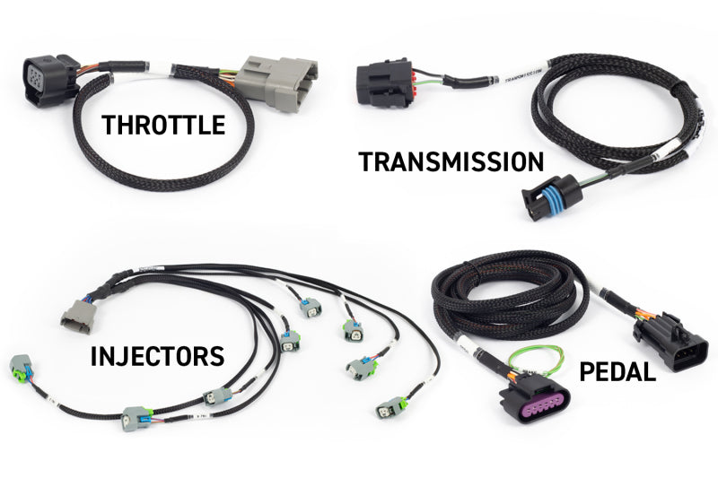 Haltech NEXUS Rebel LS Kit (Suits Gen IV)