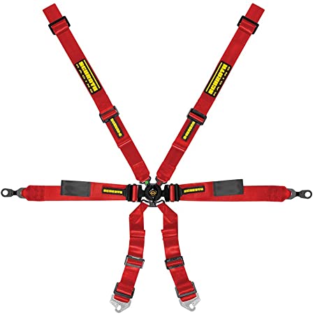 Schroth Enduro 2x2 Porsche GT3 6-Point Racing Harness