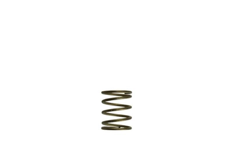 Turbosmart Gen-V WG45/50 3psi Orange Inner Spring - Attacking the Clock Racing
