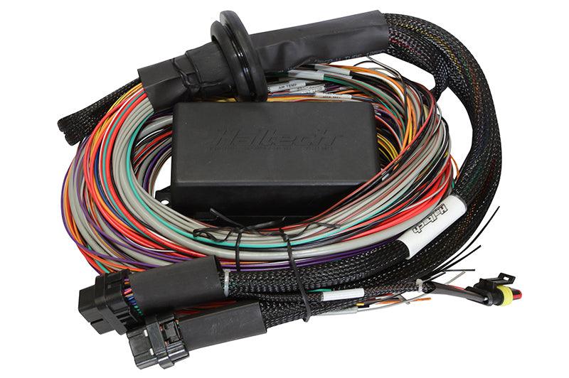 Haltech Elite 1500 8ft Premium Universal Wire-In Harness - Attacking the Clock Racing